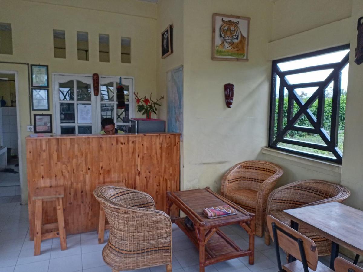 Berastagi Mountain View Homestay & Pizzeria Buitenkant foto